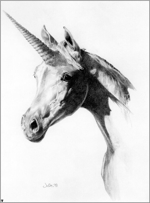 unicorn head portrait