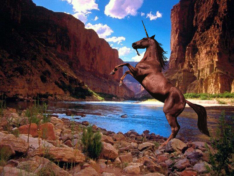 unicorn in a canyon