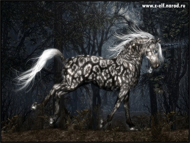 Unicorn in a dark forest