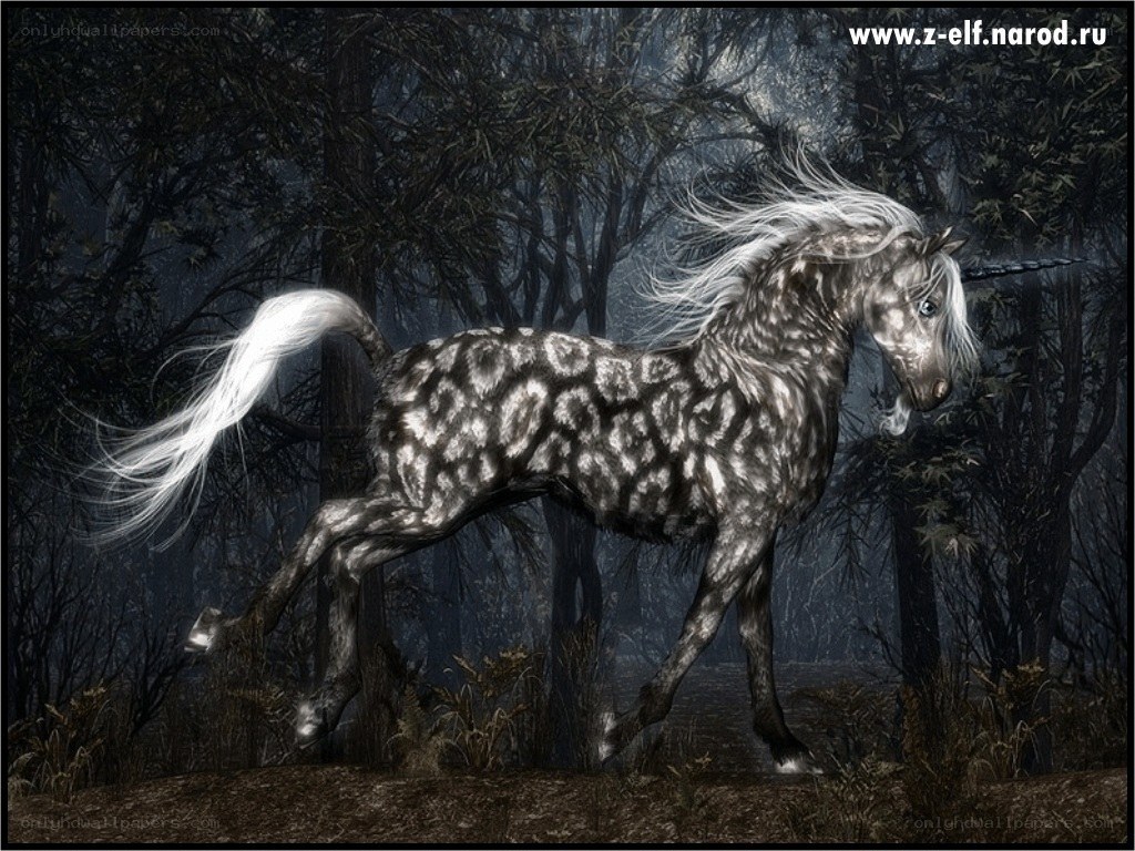 Unicorn in a dark forest