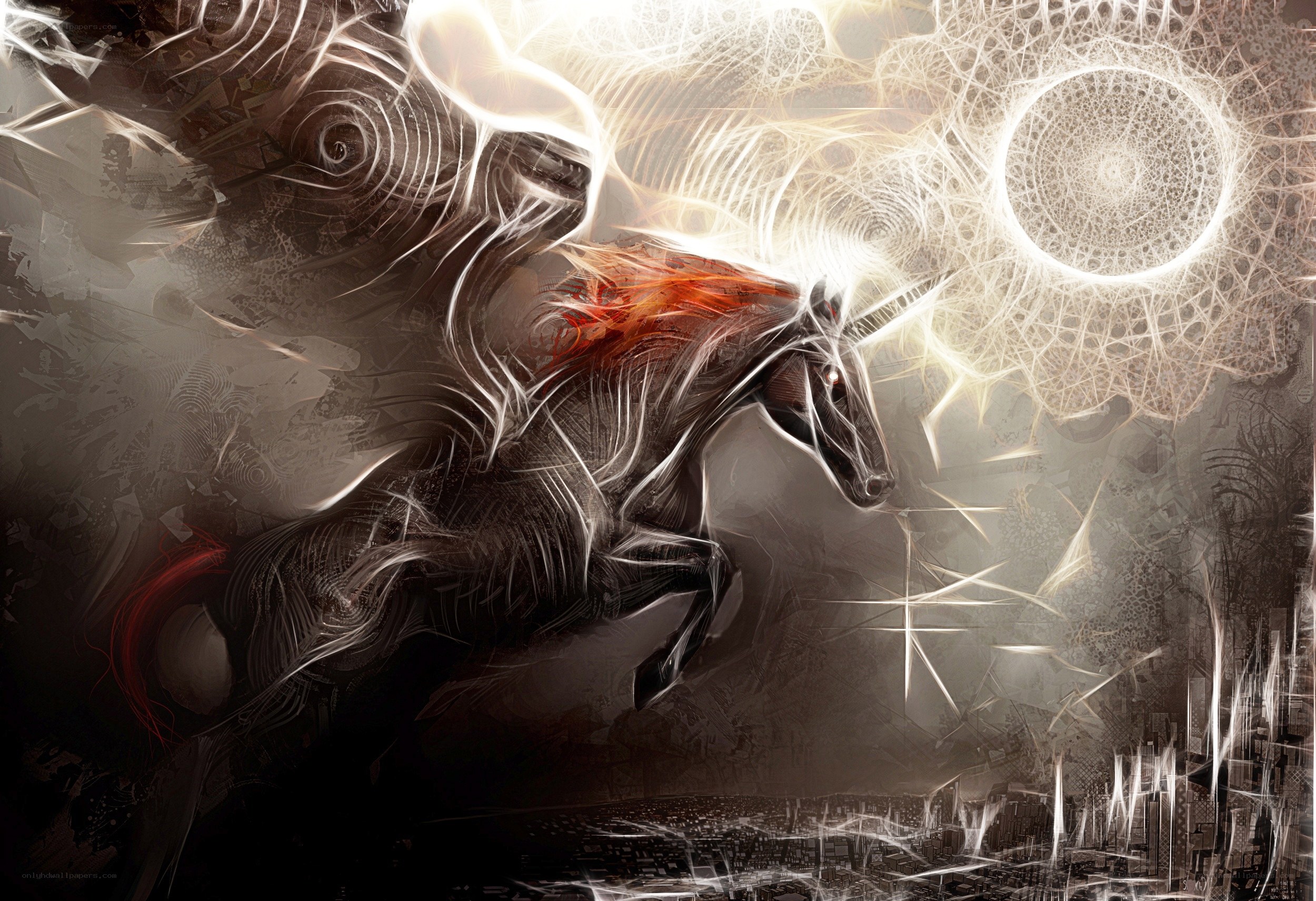 Unicorn in a digital storm