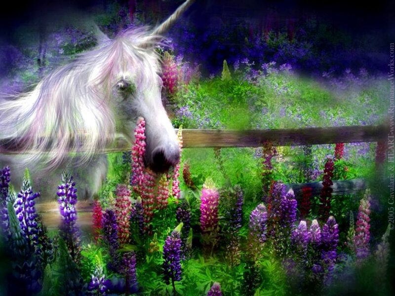 Unicorn in a Flower Field