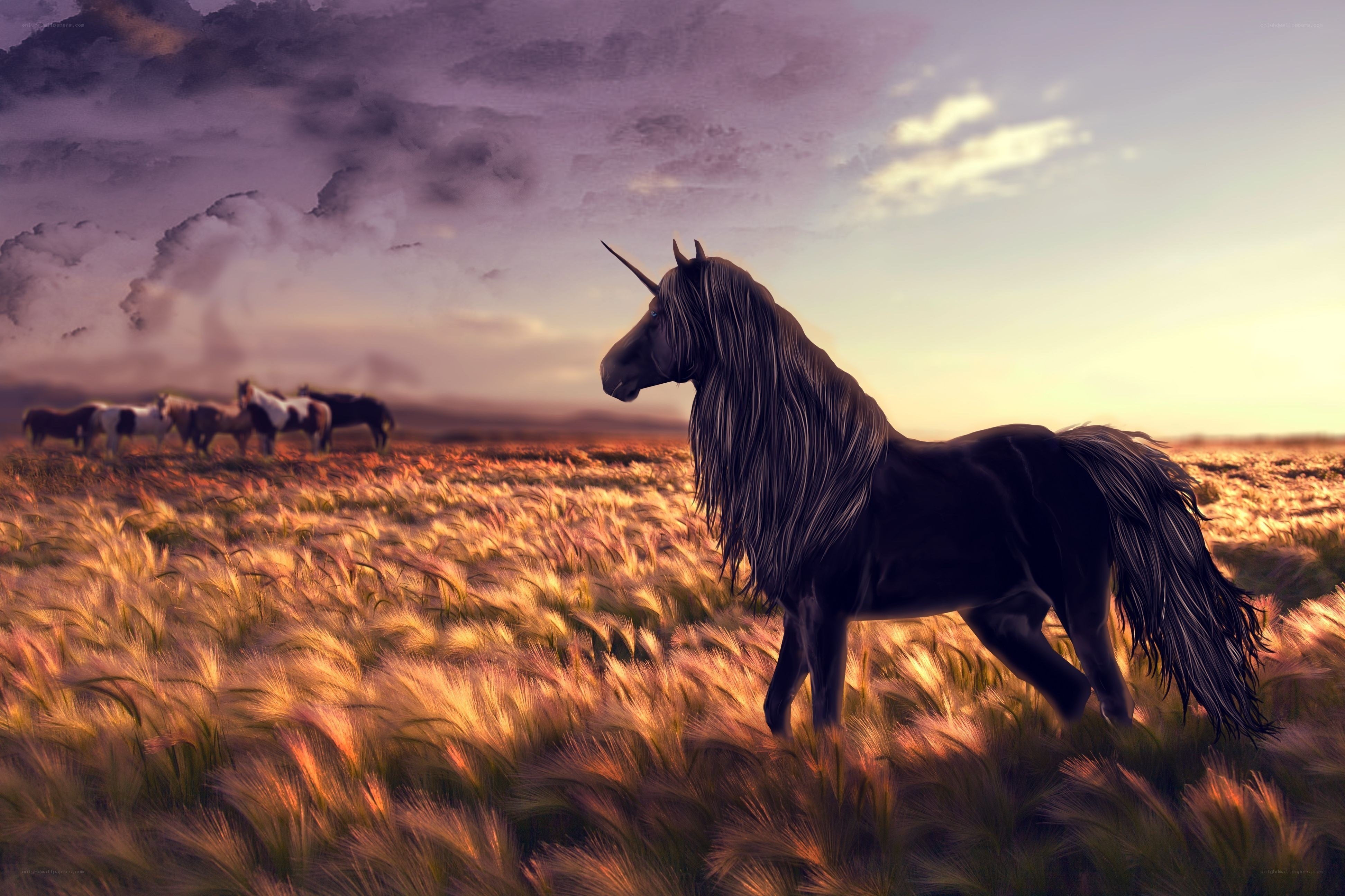 Unicorn in a golden field