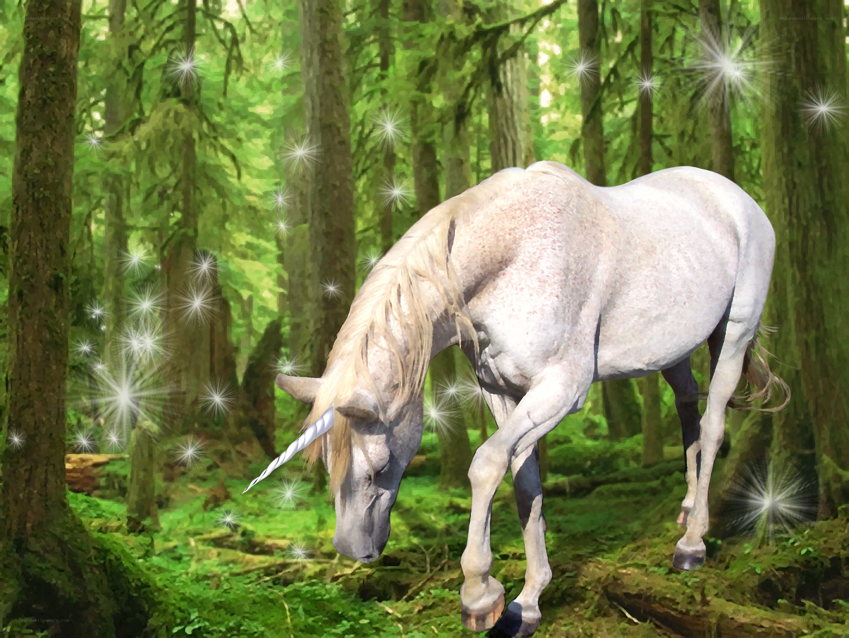 unicorn in a magical forest