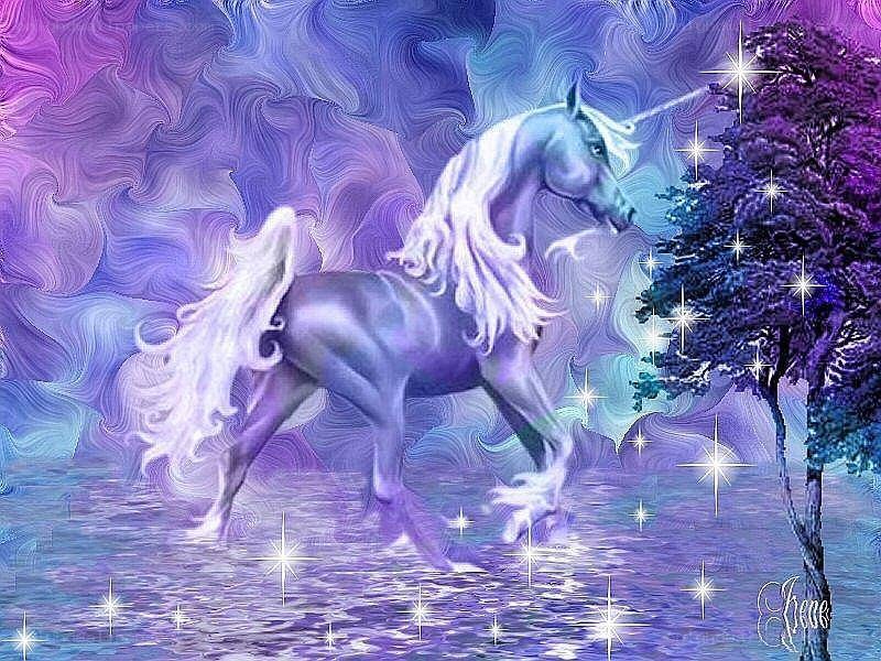 Unicorn in a magical forest