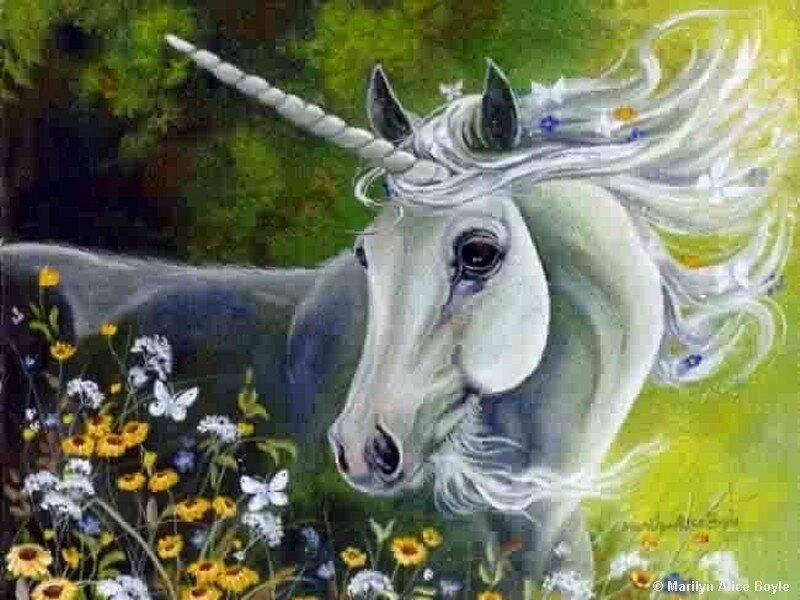 Unicorn in a meadow