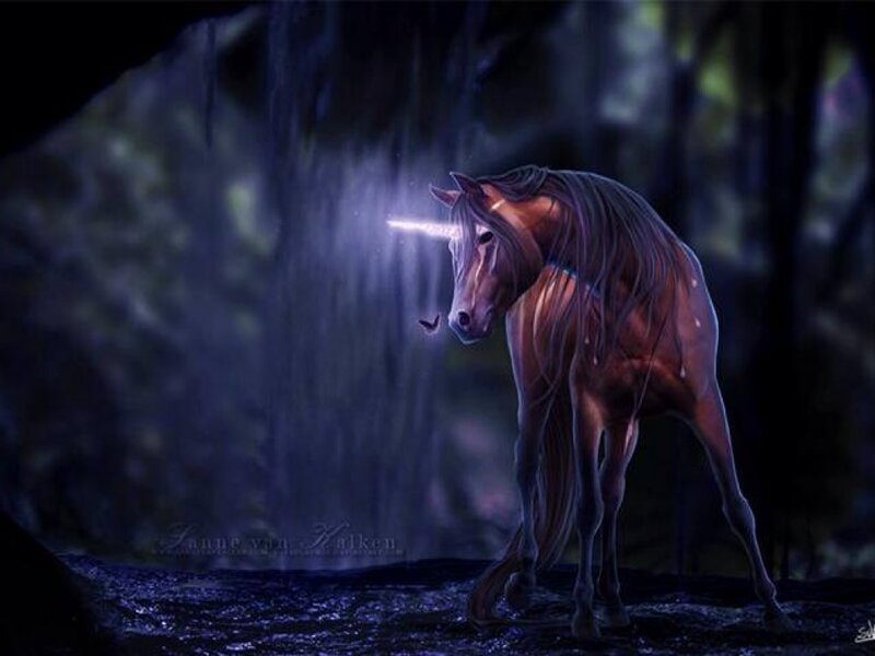 Unicorn in Dark Forest
