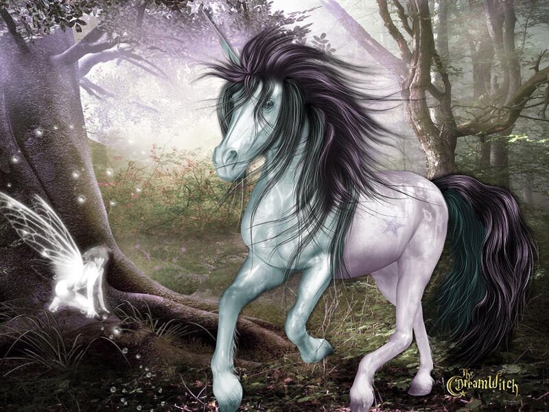 Unicorn in Forest — White