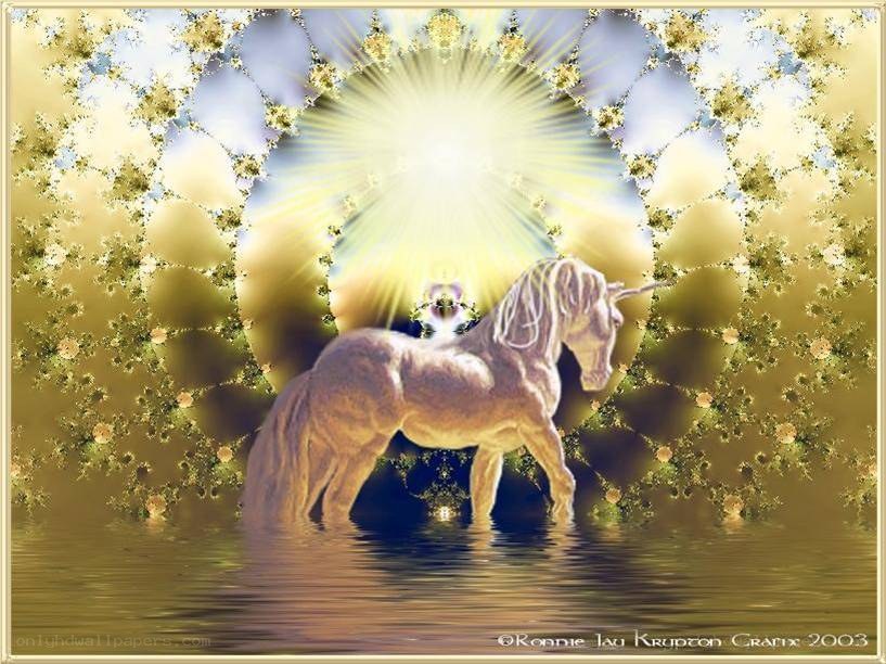 Unicorn in golden light