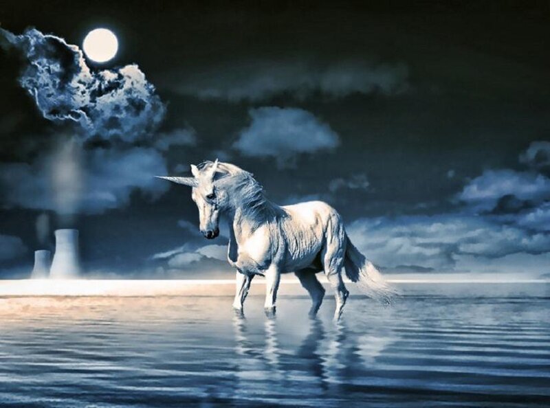 Unicorn in moonlit water