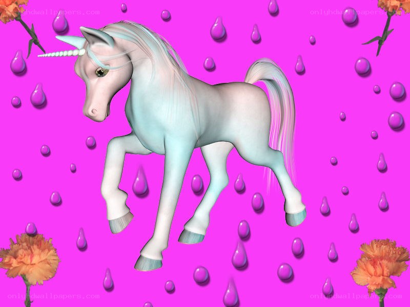 unicorn in pink rain