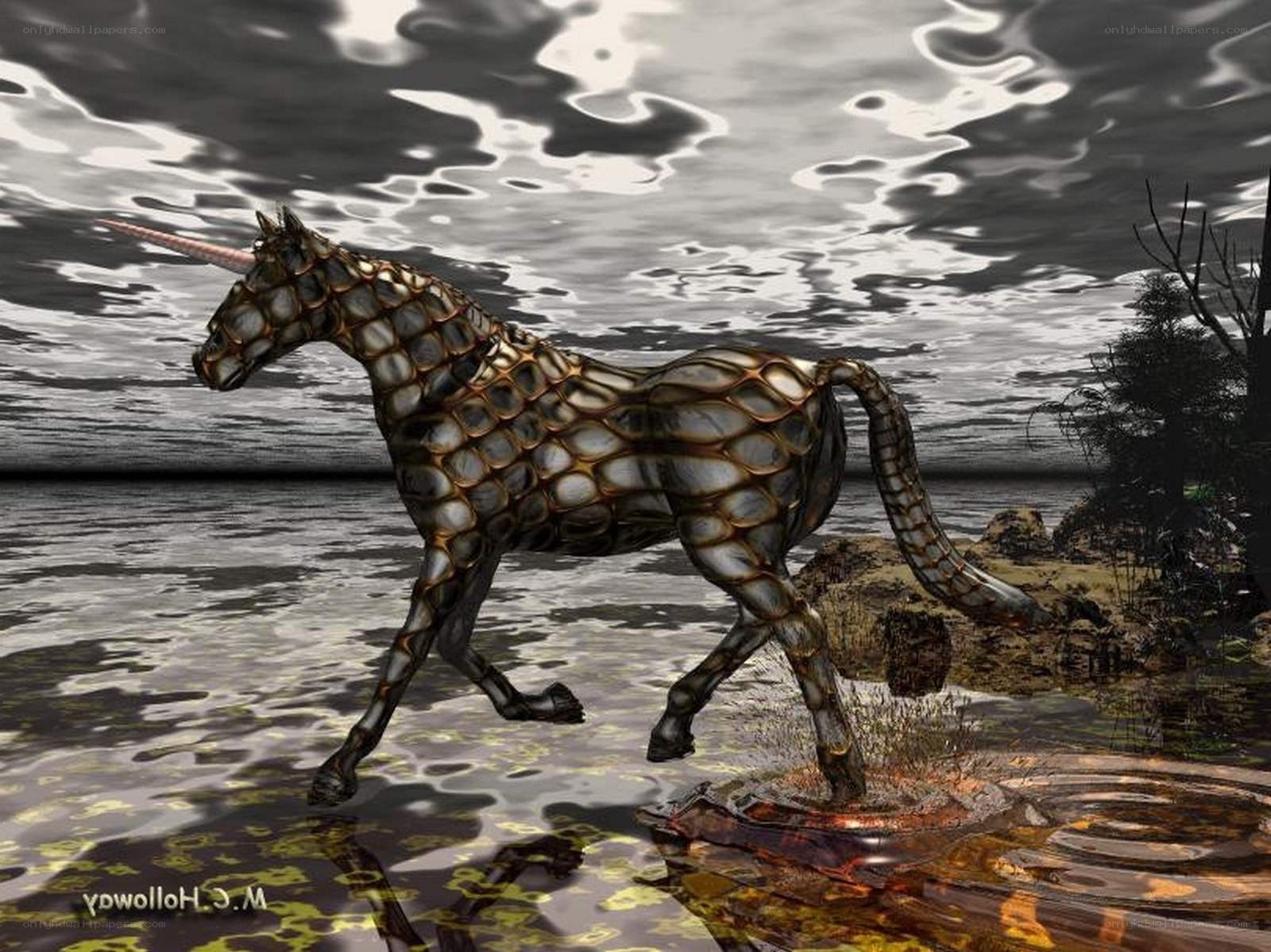 Unicorn in shallow water