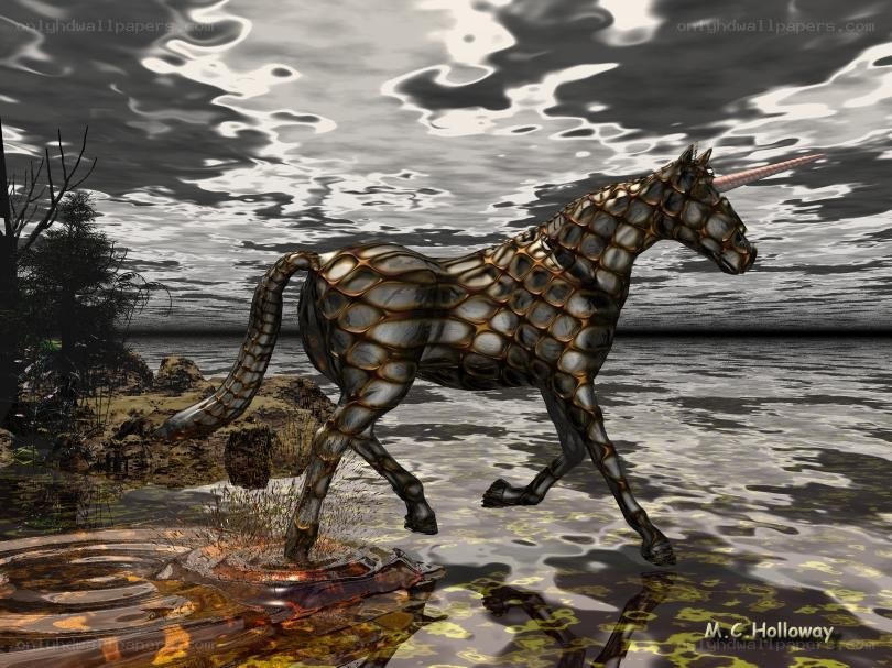 Unicorn in Shallow Water