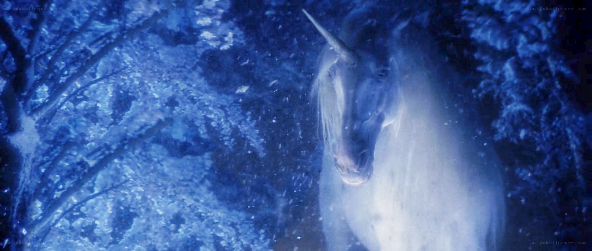 unicorn in snowy forest