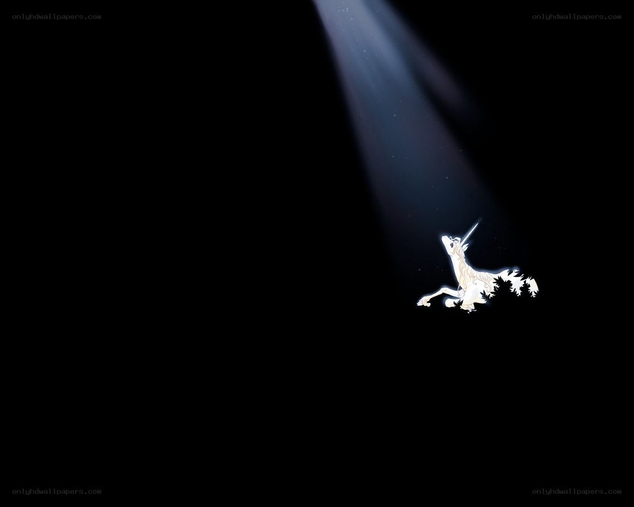 unicorn in spotlight