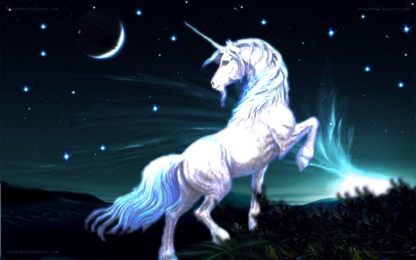 Unicorn in starry night