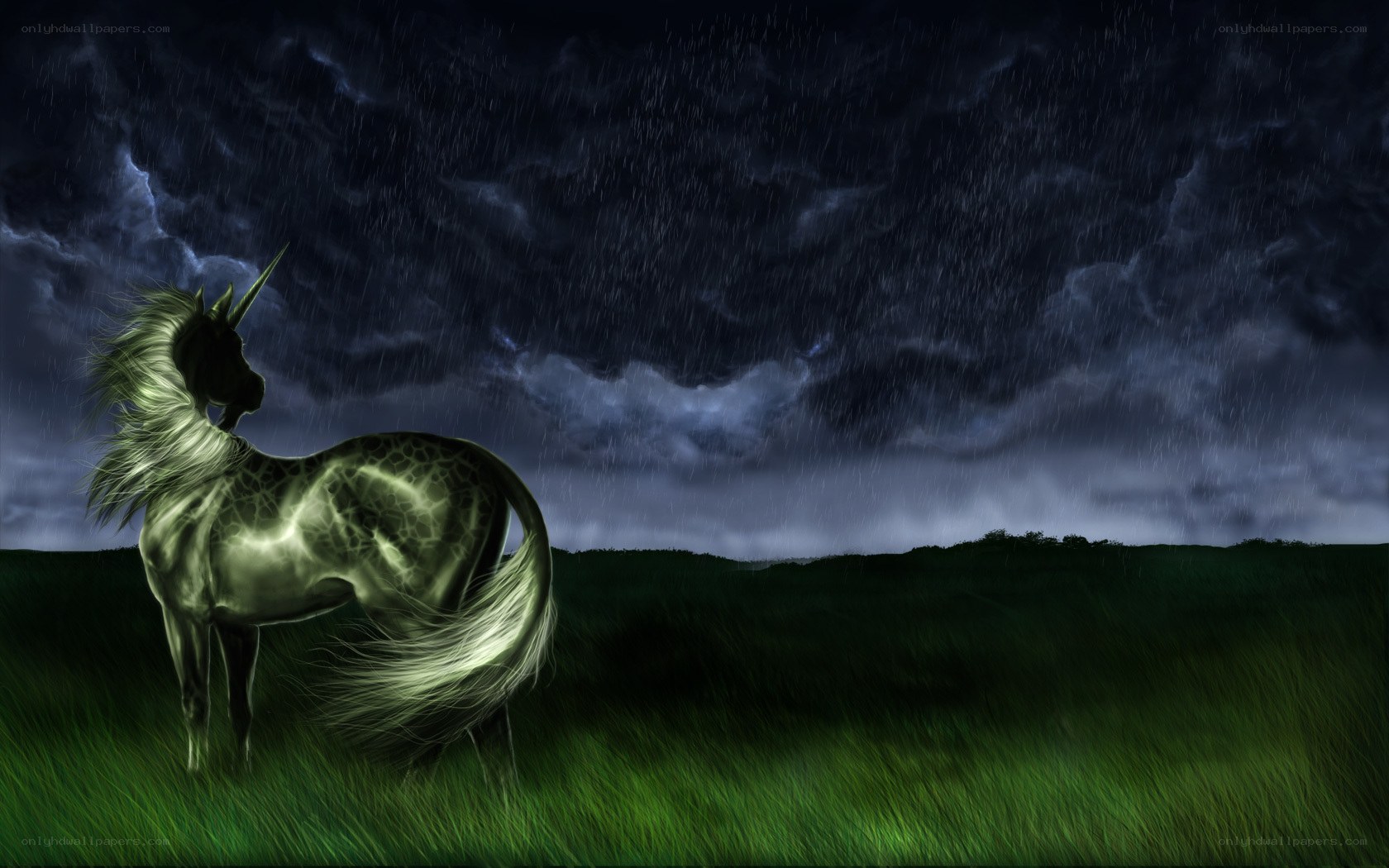 Unicorn in stormy field