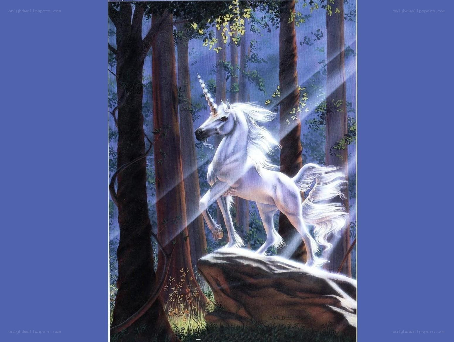 Unicorn in the forest