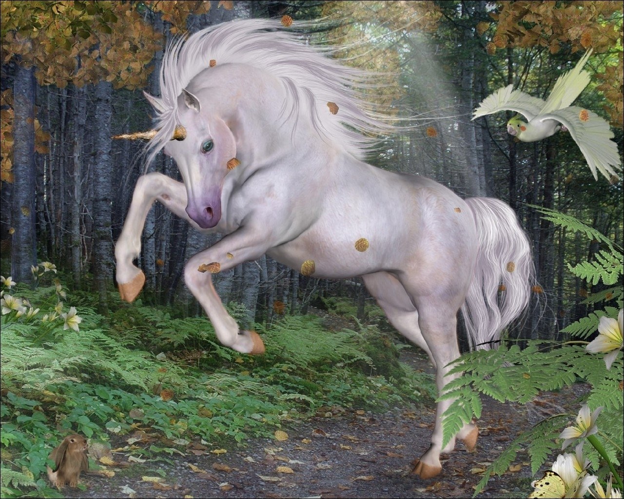 Unicorn in the forest