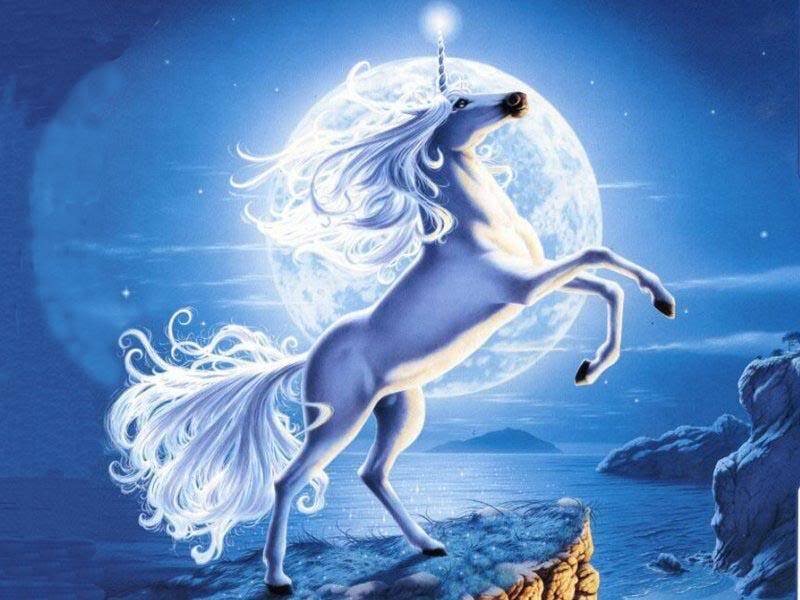 Unicorn on a cliff at night
