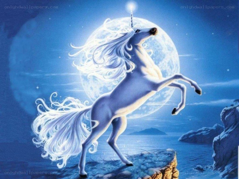 Unicorn on a cliff at night