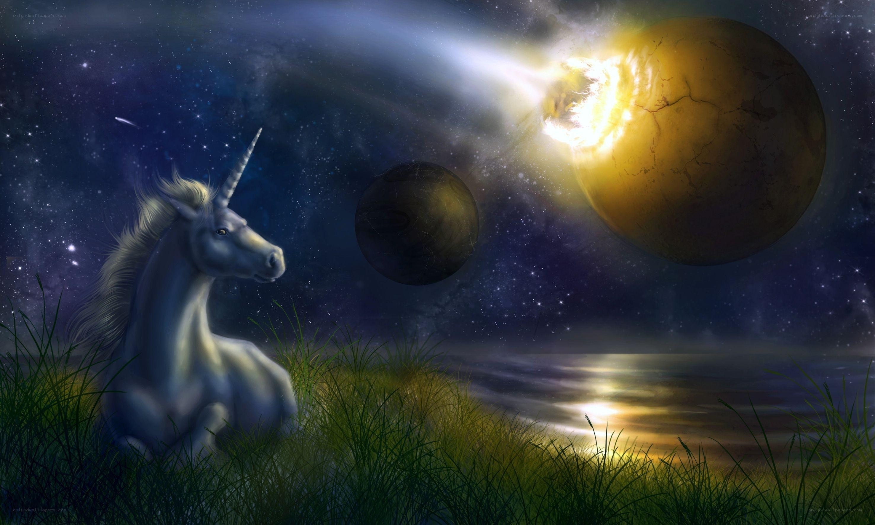 Unicorn on a cosmic shore