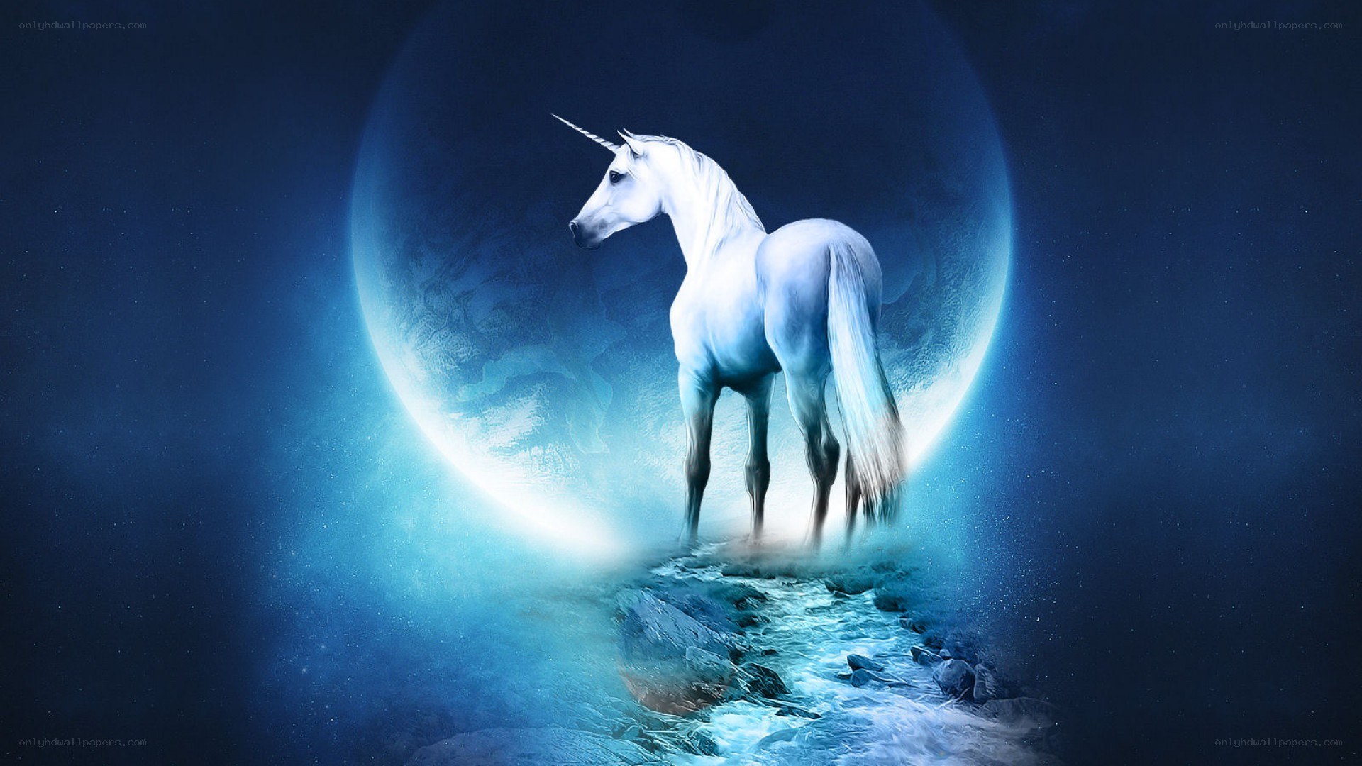 Unicorn on a moonlit path