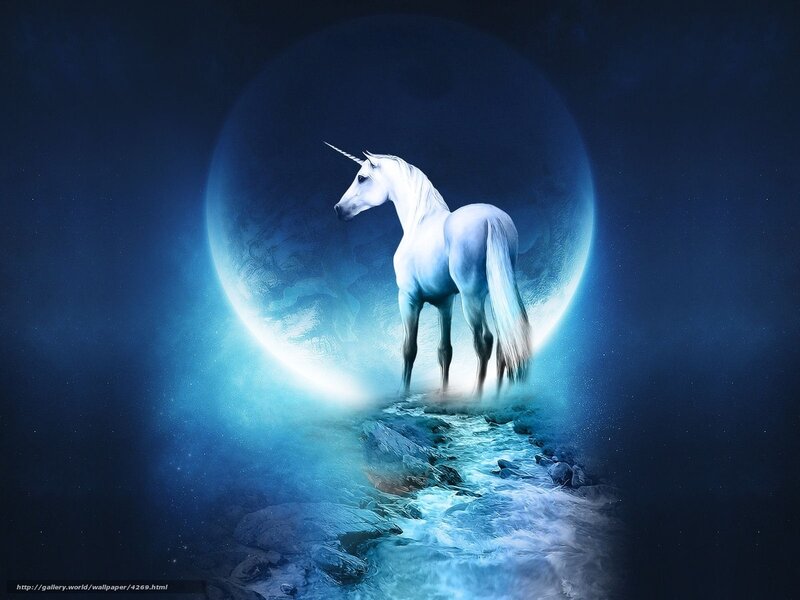 Unicorn on a moonlit path