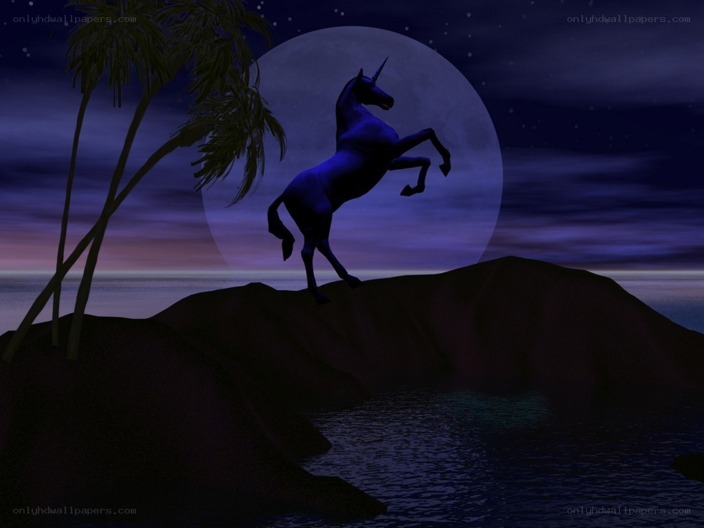Unicorn on a rocky shore
