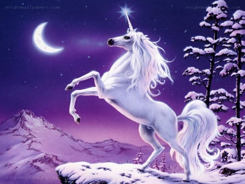 Unicorn on a snowy mountain