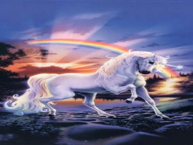 Unicorn running at sunset