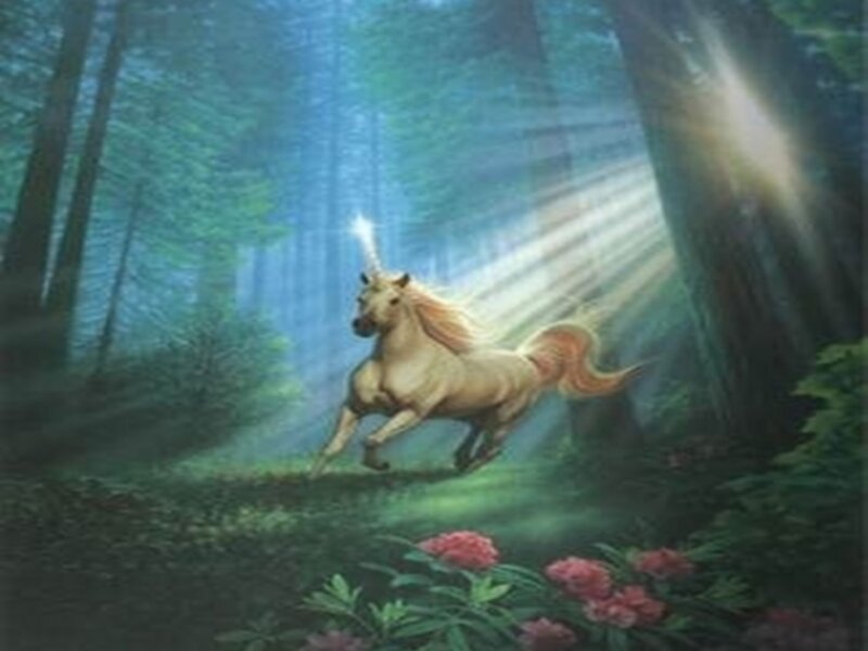 Unicorn running in forest