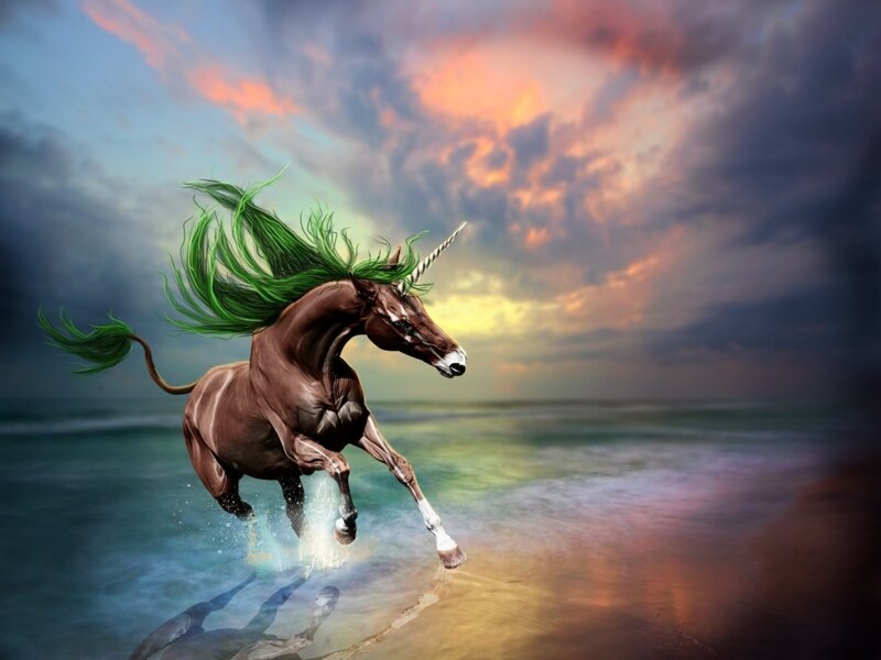 Unicorn Running on Beach — Brown, Dramatic, Sunset