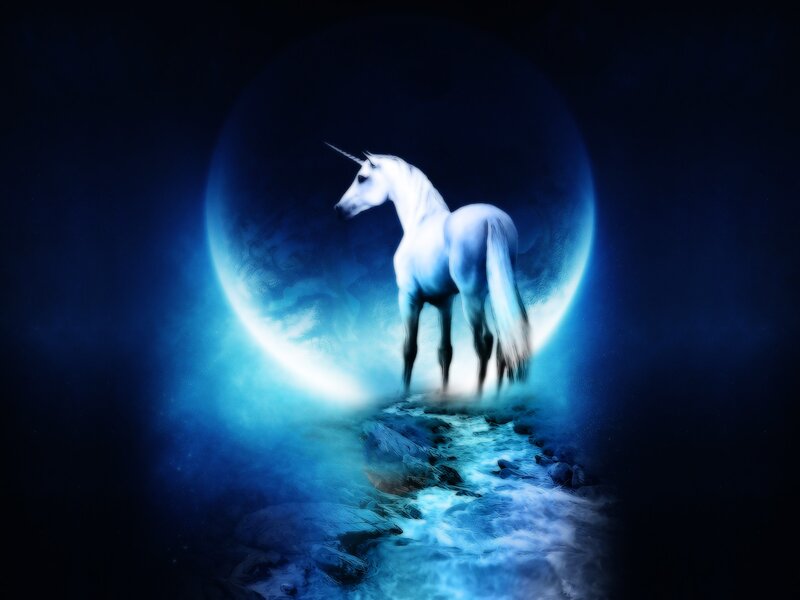 Unicorn under a blue moon