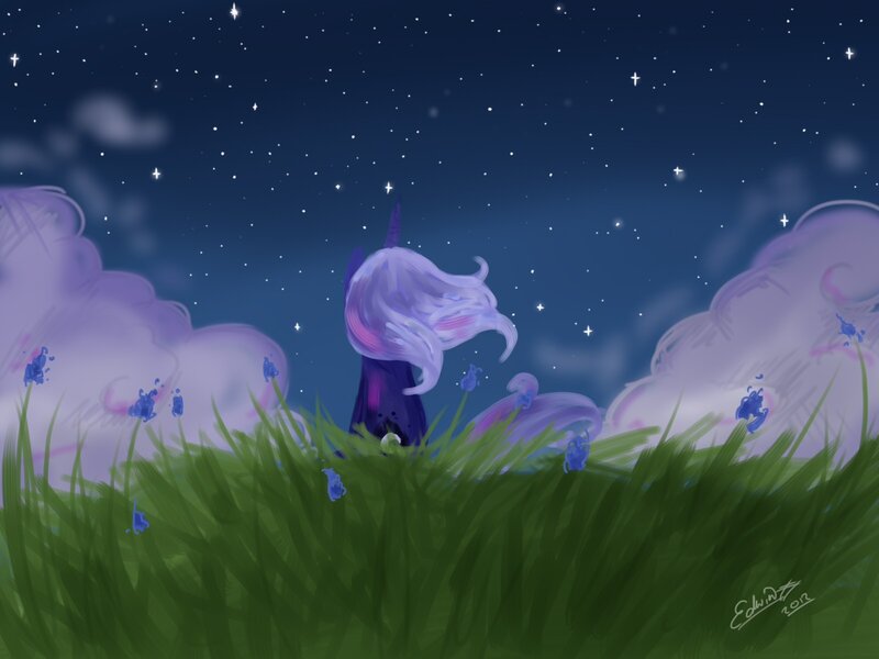 unicorn under starry sky