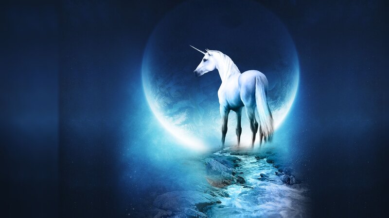 Unicorn under the moon