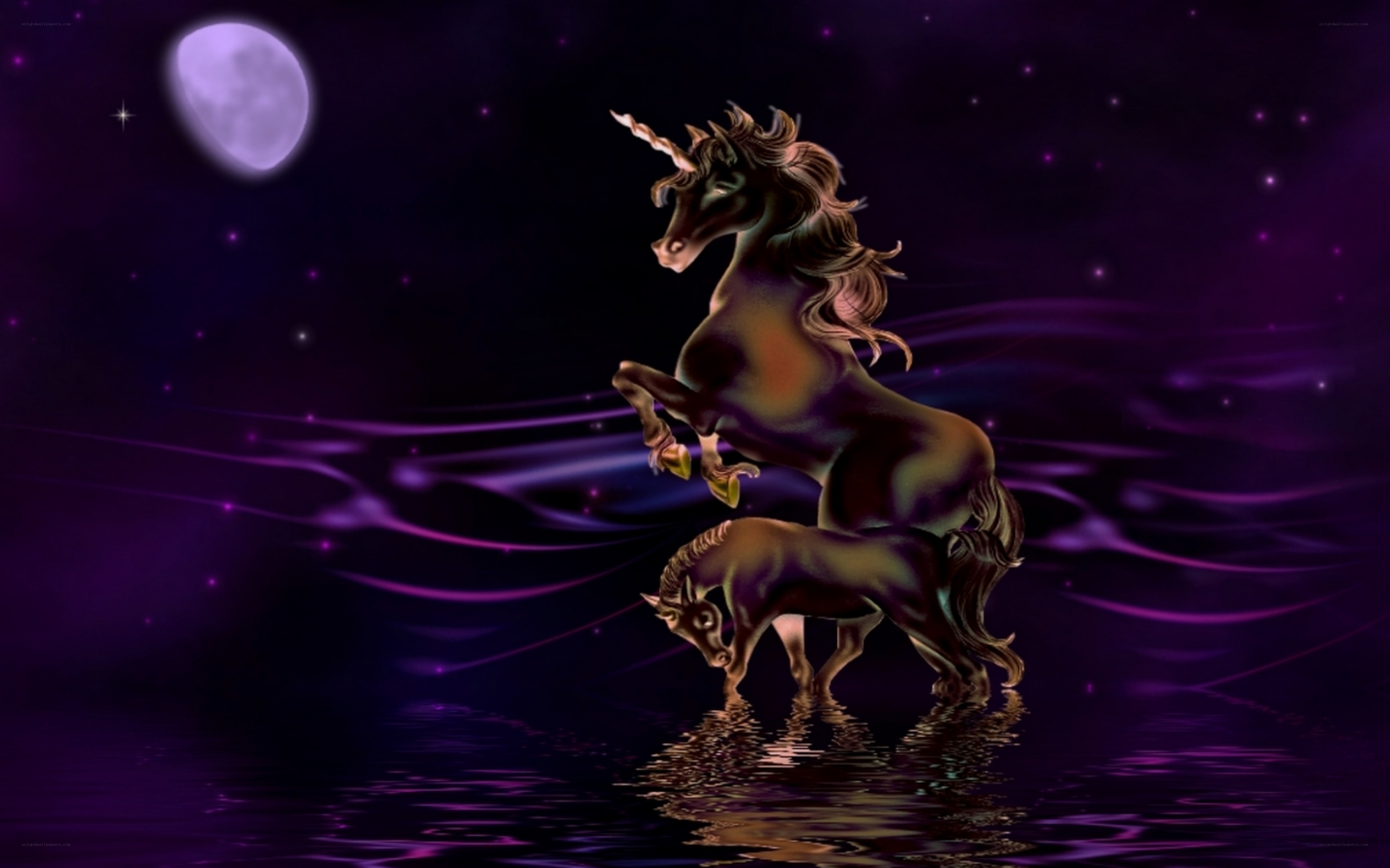 Unicorn under the moon