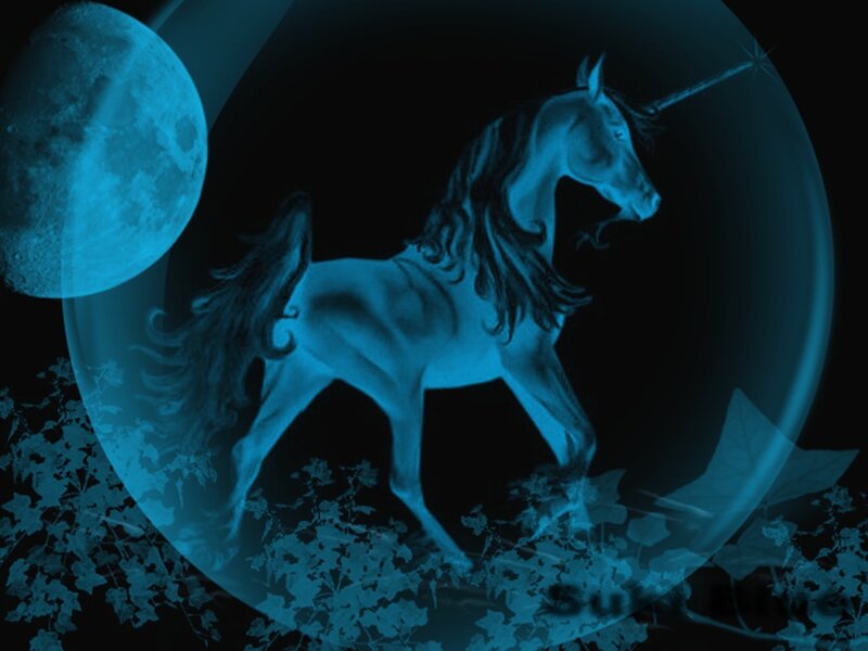 Unicorn under the moon