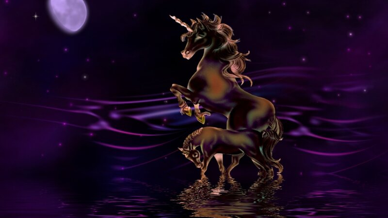 Unicorn under the moon