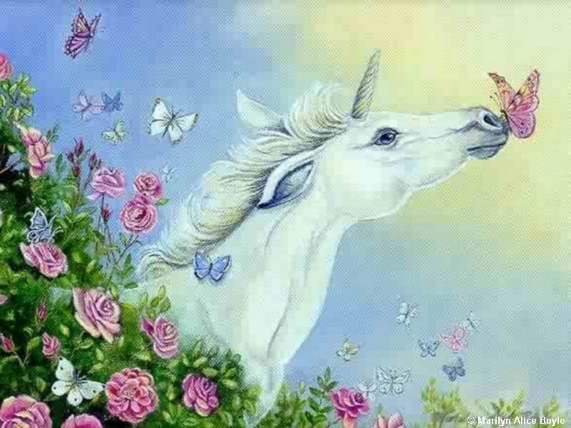 Unicorn with butterflies and roses
