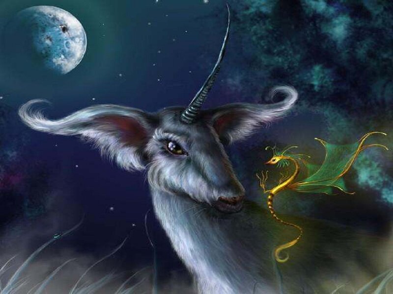 Unicorn with Dragon