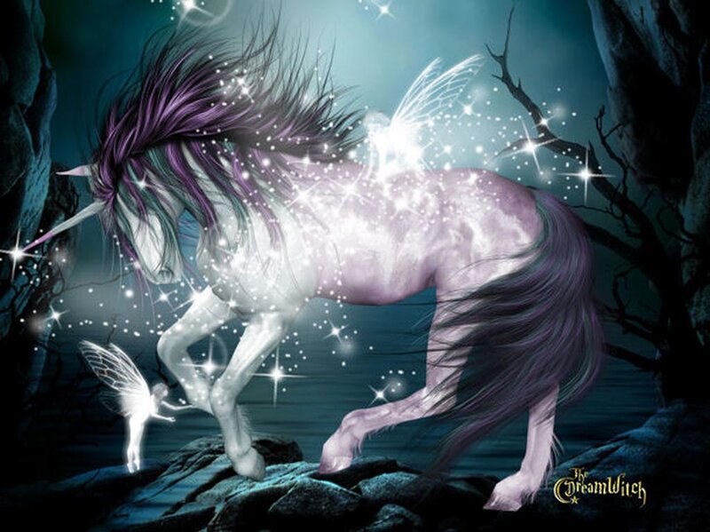 Unicorn with Fairy