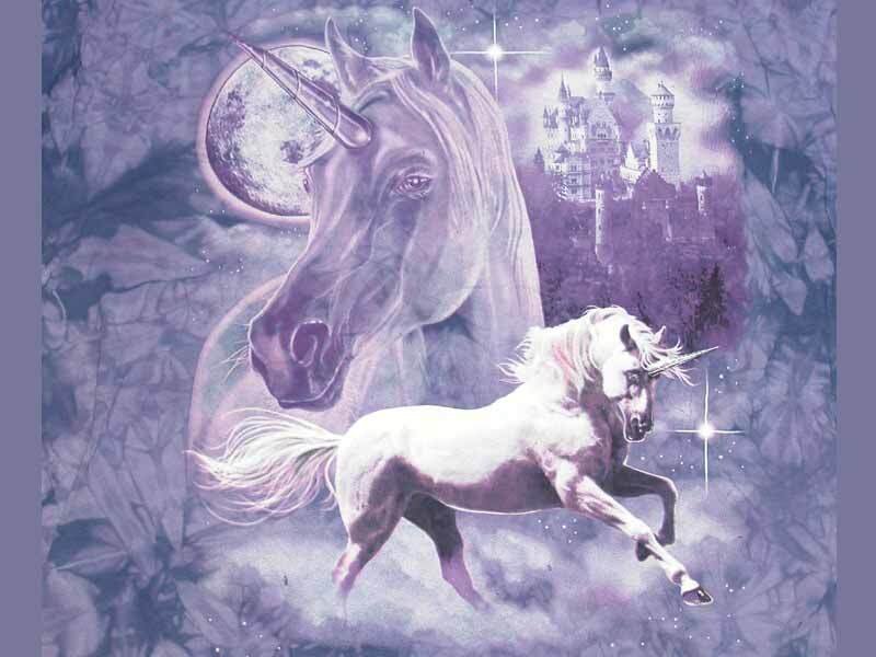 Unicorns and a castle