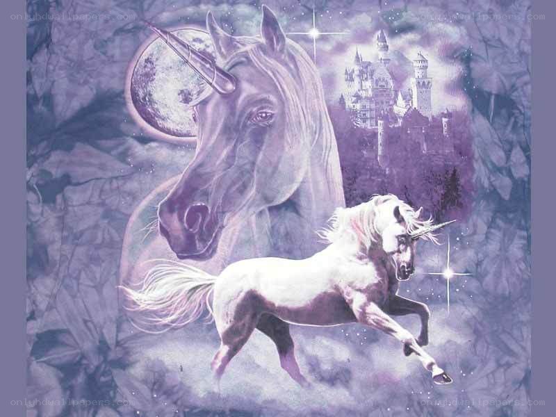 Unicorns and a castle