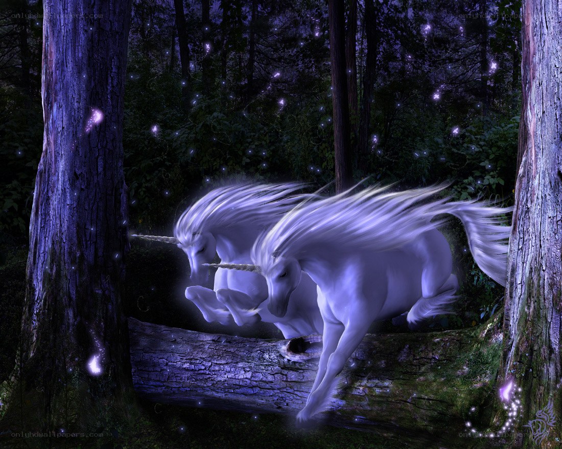 Unicorns in a magical forest