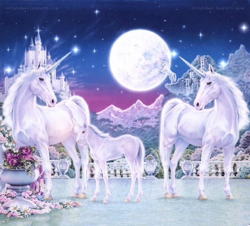 Unicorns in a magical night