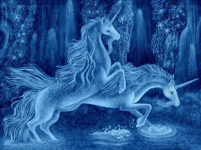 Unicorns in a mystical forest