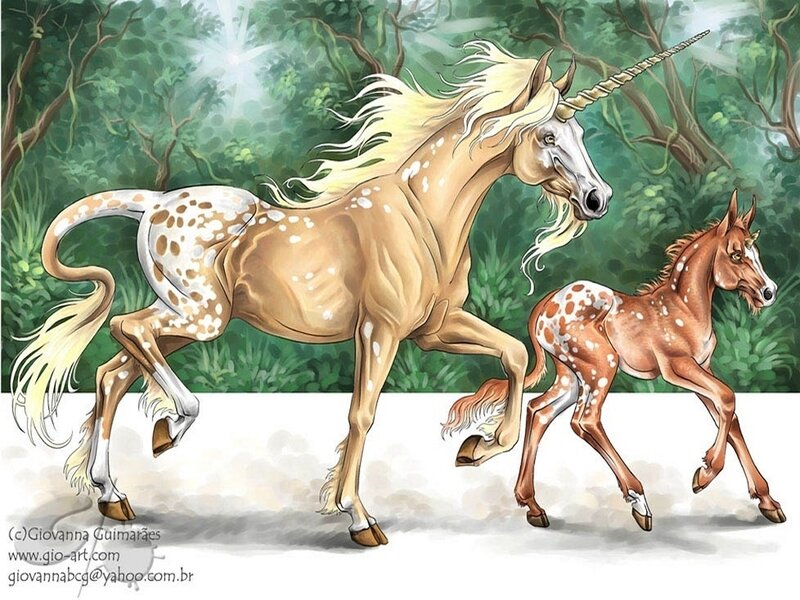 Unicorns in Forest