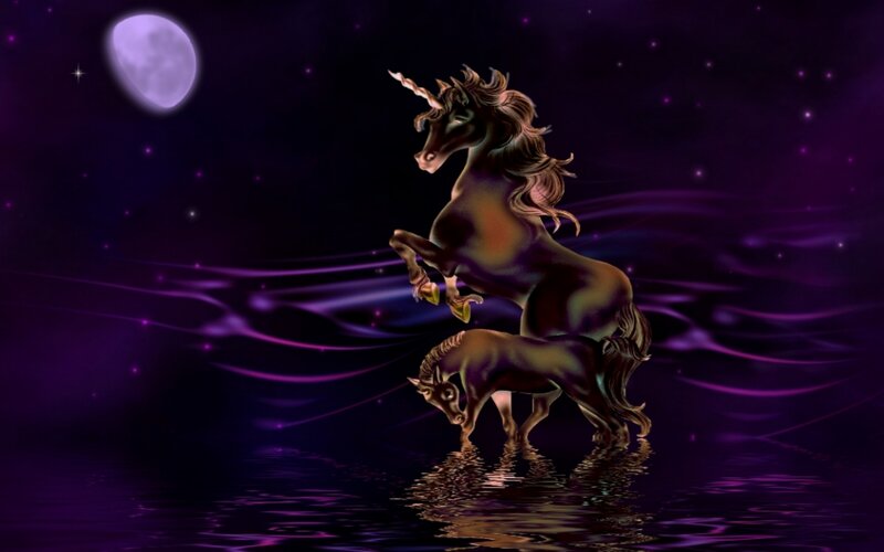 Unicorns in Water — Purple, Mystical, Night