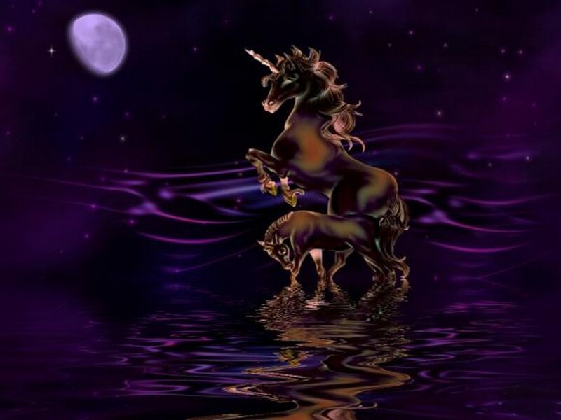 Unicorns in Water — Purple, Mystical
